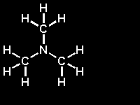 Trimethylamin