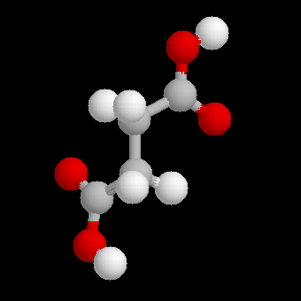Bernsteins�ure